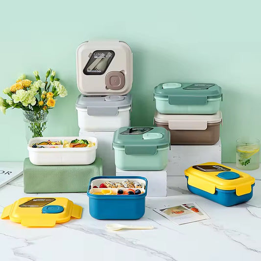 Double Layer Lunch Box 2004